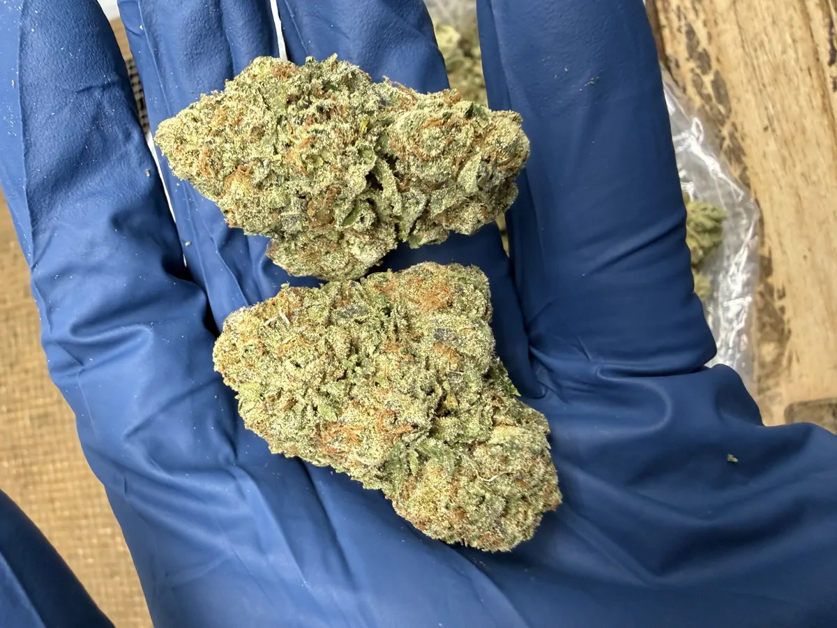 Pineapple Og Flower